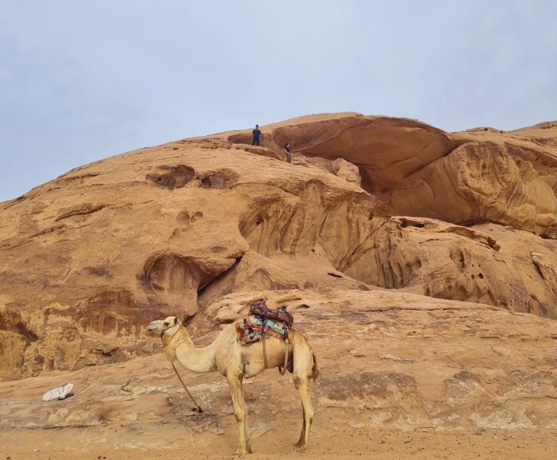 Wadi Rum Hugo Camp Екстер'єр фото